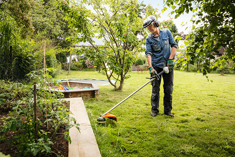 taglio erba prato decespugliatore