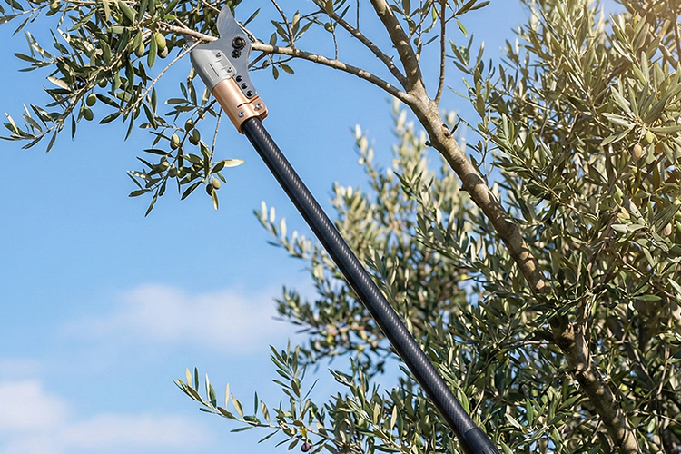 Asta Telescopica Arvipo